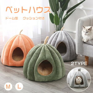 ybgxbh ybgnEX h[^ h[nEX 2TYPE 􂦂 ~ NbVt  K _炩 ybgpQ Lpxbh LnEX ybgpi ΍ ~ ۉh 