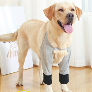 pbOEH[}[ _炩 ֐߃veN^[ GT|[^[ ی ₷ یJo[ \h ֐ߕی ی h rߖh~ h~  O\bNX  O U Ck