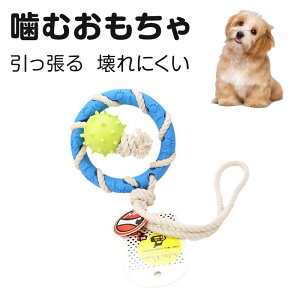 p ނ   f^PA ł Ђς [v  {[ tXr[ C^NeBu  mߋ  ϋv ?łɂ