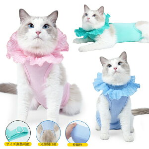 L p㕞 GUxXJ[ Lp  p p ybgp㕞 EFA 앞 ybg lR  ی 畆ی r h~ h~ pp  ybg hbOEFA LbgEFA