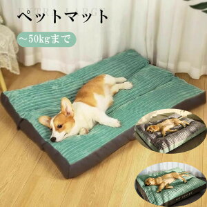 ybgxbg@p}bg Č @􂦂 ybgxbh@^/^/^ Vv ɂ   ʋC Č   ݑς v Vv Jo[O\ L/XL