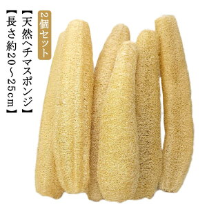 w`}X|W 20`25cm VRw`} w`}킵 2Zbg HuV H 傫 M Lb`X|W 炩 ꂪȂ ₳ VRw`} {fBX|W