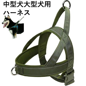  n[lX ^ ^ p pn[lX  ʋC Ȃ h~ ˑf ߉\ U P o|