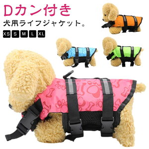 RpNg  p CtWPbg  ~ ^ y dJt ^  XCxXg  pCtWPbg C t[eBOxXg V v[ V C Q 