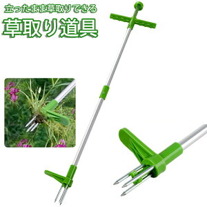  X^hAbv@ 蓹 ܂   ؒpA_p G XeX| ϋv͂̋ 3{ܕt [gc[ A~_蓮