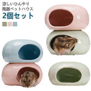 2Zbg nX^[ nEX  ybgp {E H h[t  nX^[xbh GTM ~j     ւ B Q xݏ A 悯 V g