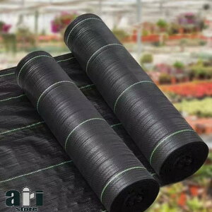   2m×100m V[g 悯 Ő  _pV[g G hV[g lH 1m×200m ԏ hV[g Gh~ G΍