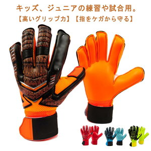 ebNXp[ qǂ K qp 10 tbgT l pTWF} LbY X|[c X^_[h ebNXp[ L[p[ WjA p lp TbJ[ S[L[p[