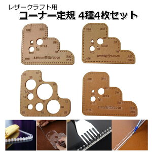 U[Ntg R[i[K ȐK rK J[u^ AN (4Zbg)