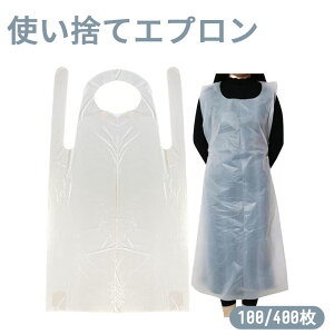 X^[gTCh ĝăGv h  H | rj[ |p 100 400