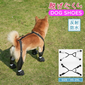 p V[Y C hbOV[Y  Nc ̌C ʌC hbOu[c I[V[Y ߂ U ~ h~  ی  G J ~  AXt@g ^ ^  y  