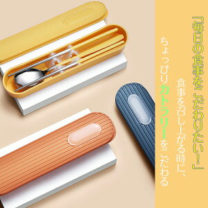 Jg[Zbg ؍ u[ ٓ k Jg[ Zbg P[Xt  H  Xv[ tH[N 3_Zbg ^ ֗ g XeX ʋ ʊw wpH Ѓ