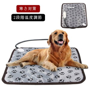 ybgp zbgJ[ybg dCѕz  L  ΍ g[ 2iKx ybgpq[^[ Lxbh zbg}bg xbh ybgxbh ybgp ݂h~ PESF v[g 