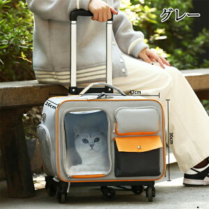 ybgL[ ybgL[J[g ybgobO bN LX^[t L L[obO  ^ L[P[X bV  U ܂肽 яoh~ ʋC bN J