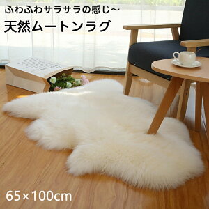 [gO 1CTCY [gt[X j[W[h  ݑ GAR΍ є 100VRE[ }bg \t@[ ֎qJo[ J[ybg t@[ _炩  \t