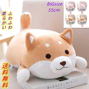 ʂ   R[M[ EFVR[M[ ߋ  킢 SNSŏ qɐlC Q 傫 NbV  R  킢 ܂  ʂ