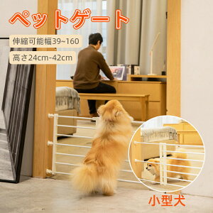 ybgQ[g ^pQ[g poAQ[g pybgtFX  ybgtFX SK[h Lk\ hAXgbp[ Ԏd؂ phA xr[SQ[g o֗ Eh~ N