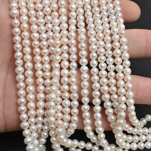 �������� �W���^�� 36cm �W���p�[�� 4�`5mm 1�A 1�A���� �W���p�[���A���� �V�R�� �r�[�Y �p�[�c