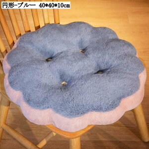 rXPbg^zc NbV Ɍ 킢 KɗD NbV Vv ґzp ې􂦂 ʋCItBX ԗp \t@[p 40CM