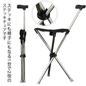 XebL Or ܂肽 CX `FA[   ֎qɂȂ ^֎q ܂ y xe  ֎q  `FA 3{r