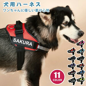  n[lX O  ^ ^ ^ qD  l[ qh~ ȒP K Ȃ EȂ 킢  CjV ˃e[vt ʋC TCY\ nh