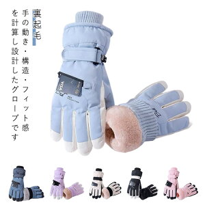 ~ fB[X Y Xm{O[u XL[ Xm{[O[u Xm[{[hO[u XL[O[u g Xm[O[u  ܖ{w ^b`pl Xm[{[h |Pbg XL