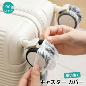 y100ZbgzX[cP[X ^C LX^[ Jo[  h~ ĝ   100