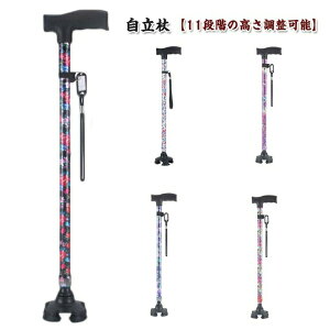    l_   y p   s⏕ fB[X  Lk Lk XebL  ԕ 11iK nr fB[X  hV̓ ̓ a v[