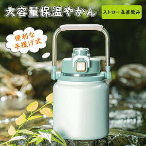 Lvp eʕXACXRei 1.2L EH[^[WO ^ Lvp X  ^N ۗ e ^fM L ACXy[ Lv ^ BBQ AEghA O