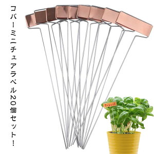  |px 20Zbg K[fjO S |l[x T^ [Yx Ax |px  vg}[J[ vc^O o KN vcx Aؔ 