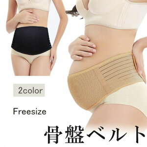  Dw Ճxg }^jeB Y YO Y㍜Ճxg  xg Dw ̓  DP }^jeBxg  T|[^[ K[h  x[W sN ⏕