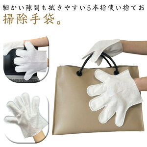 20 TbV ĝ | ʎg bv Ep ܑ| | |O[u GAR zR 5{w zR sDz  ׂ  