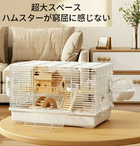 nX^[P[W L  lXȃX^C̑gݍ킹p\ g ^т₷ ʋCς |₷ z/[^֗ XgX ^s\h z