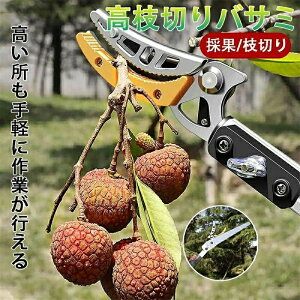 }؂oT~ 3m 4m 5m Lk} t Lk  } }p SK5  |p͂ } }؂ } }؂ \͂