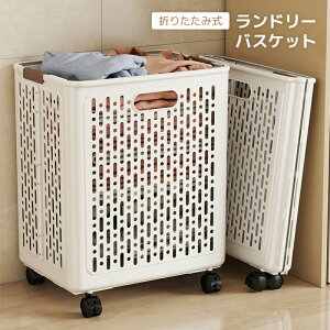 h[oXPbg ܂肽ݎ e 36L`60L LX^[t 󂩂 RpNg y  t ȃXy[X