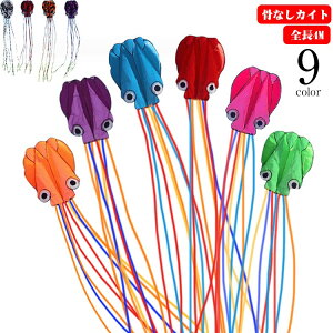 �������� �J�C�g ����300cm ���̃^�R �g�ݗ��ĕs�v �L�b�Y ���g�� �� �^�R �A�E�g�h�A ���� �q�� ���Ȃ��J�C�g ��l �����V�� �s�N�j�b�N ���W���[ �J���t�� ���グ �^�R�g�� �X�|�[�c �O�V