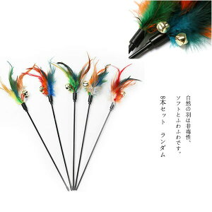 Lp L炵 8{Zbg H H Ĥ VR̉H_ t