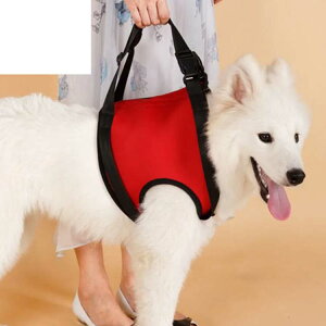 �� ���p�n�[�l�X �O�� ���s�⏕ �n�[�l�X ���p���p�i ��둫 ���� ��p ���s�⏕ �x���g ���n�r�� ��Q�� �U�� ���o���� ���^�� ��^�� �V�� ��v ��������