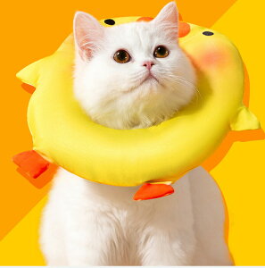 �G���U�x�X�J���[ �L �L�p �� ���O�b�Y�\�t�g �_�炩�� ��� �y�� ��p �� �ی� �r�ߖh�~ �����~���h�~ ������p ��� �ی�� ���p �y�b�g �E�F�A ������� �L�O�b�Y ���^�� c-cw-12449-gg