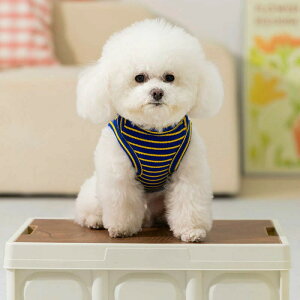 �J�[�g�D�[���e�f�B�x�A�f�U�C�� ���^���p�w�S �t�� �^���N�g�b�v �y�b�g�� �����іh�~ D�J���t�� ���U���� ���� ���̎q �j�̎q XS�`XXL