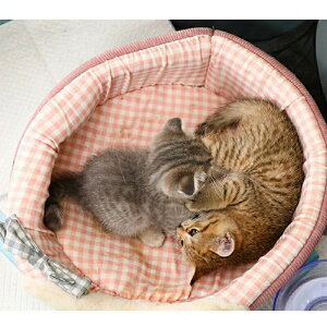 �y�b�g�T�[�N�� �܂肽���ݎ� ���b�V���T�[�N�� �R���y�b�g ���p�` �����^�� �y�b�g�p ���^�� ���^�� �L �l�R �T�[�N�� �Q�[�W �y�b�g�P�[�W ���^ ���O ���O ���� �g�C�� �h�� �l�b�g