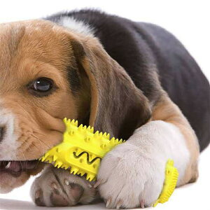 �y�b�g�p�i ���p�������� ���ނ������� �����o�� �g���[�j���O ���u���V �ϋv�� ���C���� �X�g���X���� TPR�f�� ���S ���� ���L �N�b�V������ ���^�� ���^�� ��^���Ή� �I�[�����P�A ������ 