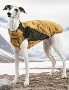 ���̃R�[�g ���p�W���P�b�g ���p�_�E���x�X�g �n�[�l�X�R�[�g ���� ���^�� ���^�� �H�~�� �����₷�� �y�b�g�� ���킢�� ������� �g���� ���˃e�[�v�t�� �_�E���W���P�b�g ���[�h�Ή� �W�b