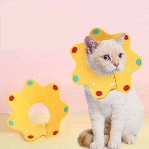 �ȒP���� �\�t�g �t�F���g �����~���h�~ �� �G���U�x�X�J���[ �L �J���[ ���� �G���J�� �y�� �p��̕K���i ���̕ی� 2���Z�b�g �X�g���X�y�� �y���������z�G���U�x�X�J���[ S M L 2���g �y�b