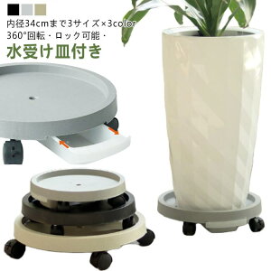 �L���X�^�[�t���A�ؔ��� ���� �t�����[�X�^���h ���u���� ���u�� �r���g���C �A�ؔ��� �L���X�^�[�t�� �ϗt�A�� �u���� �ړ� �A�ؔ� �󂯎M ���� �ԑ� �v�����^�[�X�^���h ������� �A�� �� 