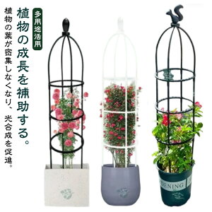 �I�x���X�N �Ԏx�� ����ȒP �������߉\ �g�����X �U�� �� ��� �o���p �鐫�A�� �� �x�� �x�� ���|�p�i �o�� �K�N �I�x���X�N �K�[�f�j���O �K�[�f�� �A���T�|�[�g �I�x���X�N�A�[�` 