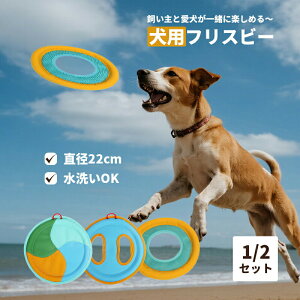 ptXr[ p   tXr[ z iCn  \tg  邨  h   V ^s XgX ̂ P