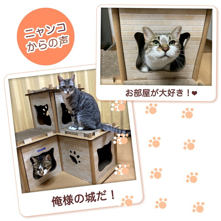 テレビで話題】 50%OFF キャットハウス 爪研ぎ ダンボールハウス 段ボール つめとぎ ねこハウス キャットタワー ペット用品 ペットグッズ 猫用爪とぎ ストレス解消 riosmauricio.com テレビで話題】 50%OFF キャットハウス 爪研ぎ ダンボールハウス 段ボール つめとぎ ねこハウス キャットタワー ペット用品 ペットグッズ 猫用爪とぎ ストレス解消 riosmauricio.com