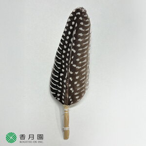 y / z p@H@قق y䂤pPbgΉz