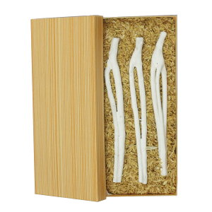 y / Yz Fp}Y (5{AOb2{)